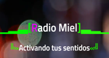 Logo RadioMiel
