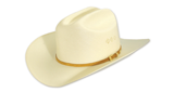 Logo Classic Country 1630