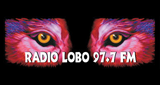 Logo 97.7 Radio Lobo