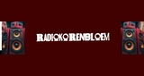 Logo radiokorenbloem
