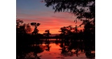 Logo Bayou Country