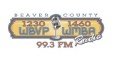 Logo WBVP