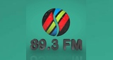 Logo Sighet FM 89.3
