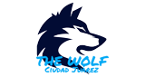 Logo The Wolf