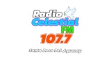 Logo Radio Celestial FM