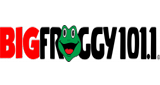 Logo BIG Froggy 101