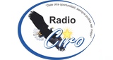 Logo Radio Ciro