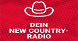 Logo Radio 91.2 FM - Dein New Country
