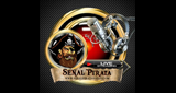Logo Señal Pirata Zamora