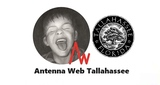 Logo Antenna Web Tallahassee