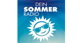 Logo Welle Niederrhein - Dein Sommer