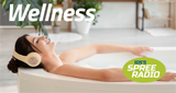 Logo 105‘5 Spreeradio Wellness