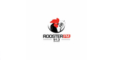Logo Rooster FM 91.3 MHz