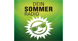 Logo Radio 90.1 - Sommer
