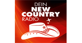 Logo NE-WS - New Country