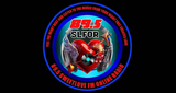 Logo 89.5 Sweetlove FM