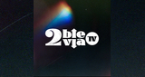 Logo Doble Via Radio