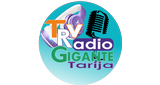 Logo La Gigante Tarija