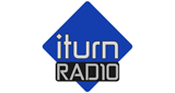 Logo i-turn radio