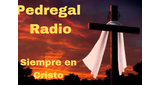 Logo Pedregal Radio