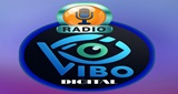 Logo Radio Vibo Fm