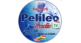 Logo Pelileo Radio Tv