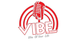 Logo Vibe Radio.lk