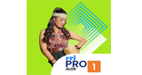 Logo RRI Pro 1 - Alor