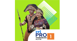 Logo RRI Pro 1 - Teminabuan