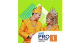 Logo RRI Pro 1 - Toli Toli