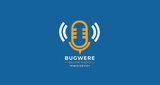 Logo Bugwere Online Radio BOR-FM