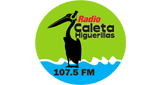 Logo Radio Caleta Higuerillas