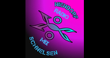 Logo niendorf-schnelsen-mix
