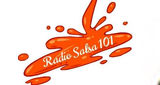 Logo Radio Salsa 101
