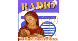 Logo Radio voix Marie Divine Providence