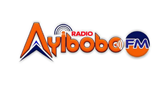 Logo Radio Millennium Fm