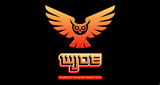 Logo WJOE - Findlay's Home for Rock & Roll