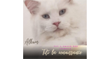 Logo Radio titi l'amour des animaux