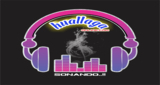Logo huallagaonline.com