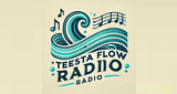 Logo Teesta Flow Radio