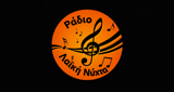 Logo Ράδιο Λαική Νυχτα