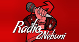 Logo Radio2Nebuni
