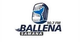 Logo Ballena FM