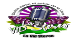 Logo La Vid Stereo