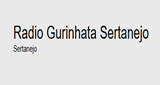 Logo Radio Gurinhata Sertanejo