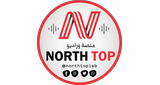 Logo NTL RADIO Lebanon