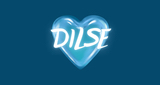 Logo DILSE Radio