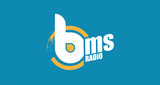 Logo Blue Melody School Radio