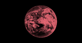 Logo Lila