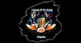Logo Voices Of An Artist Radio